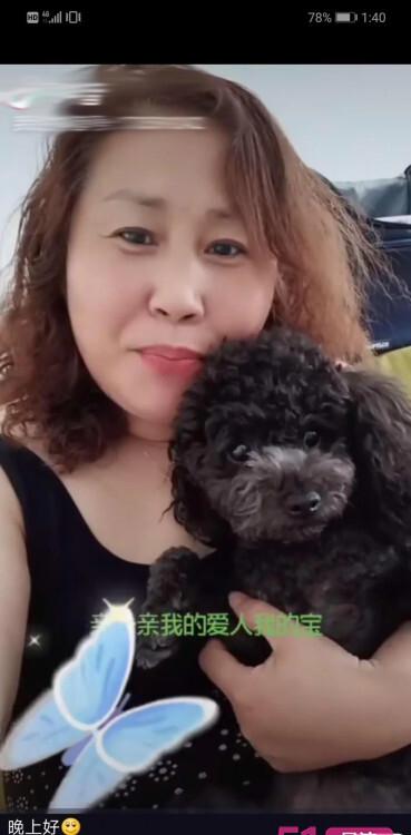 沈阳泻火熟女英姐