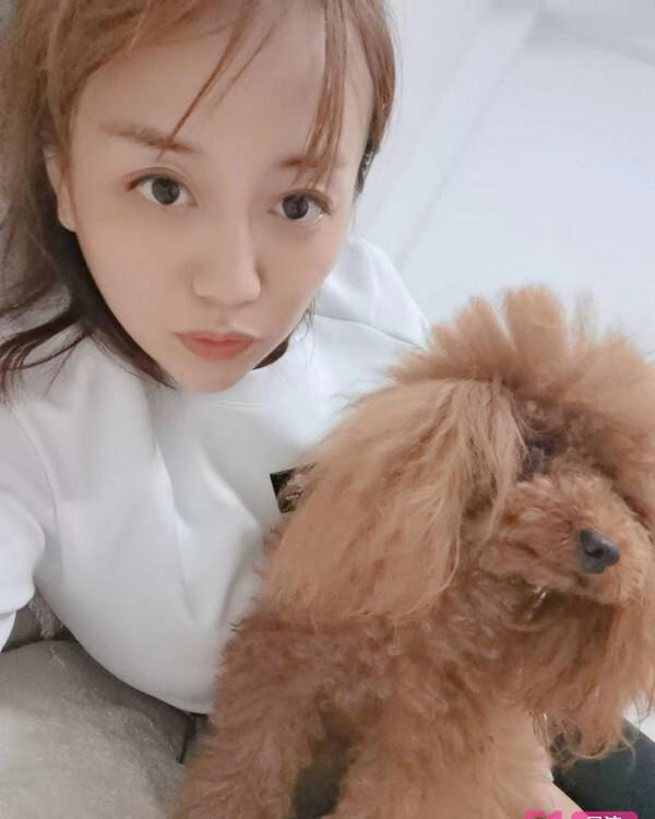 沈阳沈河泉一路 假照片