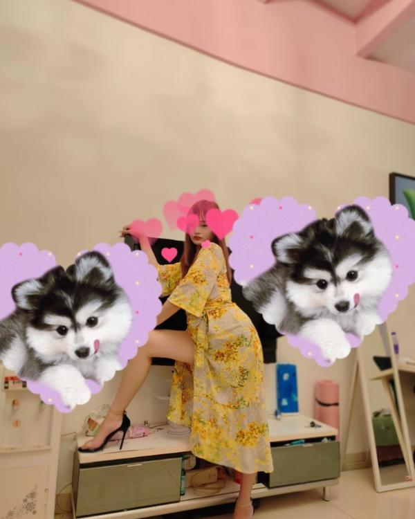 石家庄长腿骚货