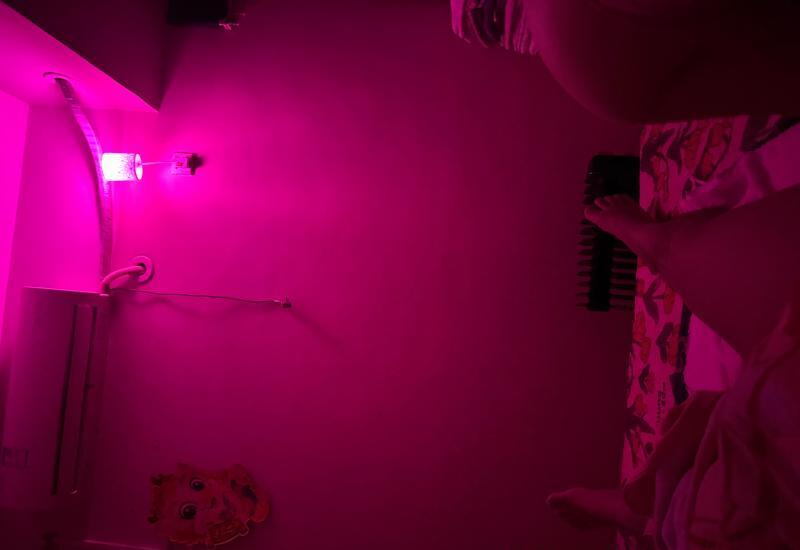 海珠服务派蜜宝