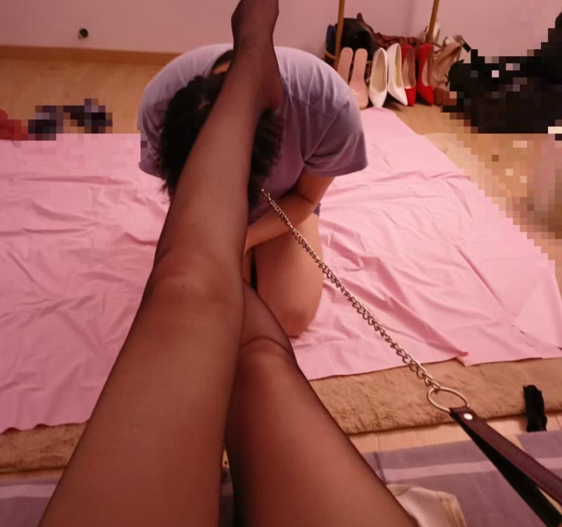 木专业丝足调教大长腿