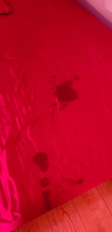 未央潮喷章鱼D波雅雅