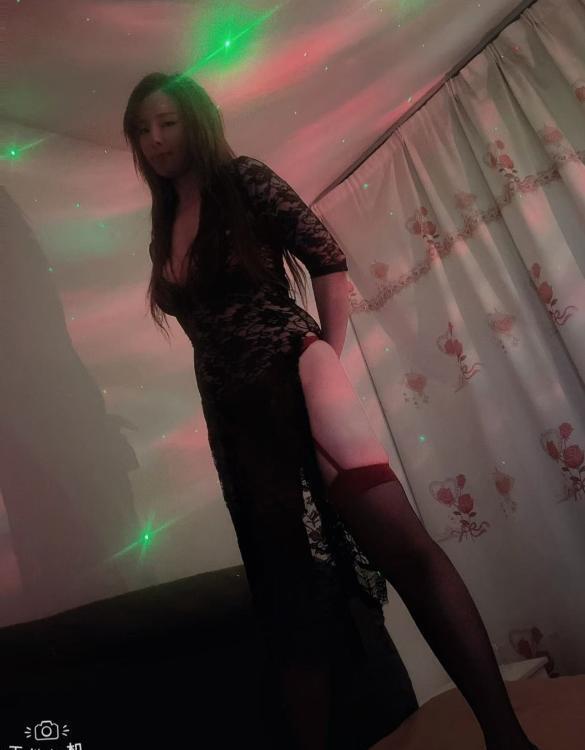 江宁包时小奶猫