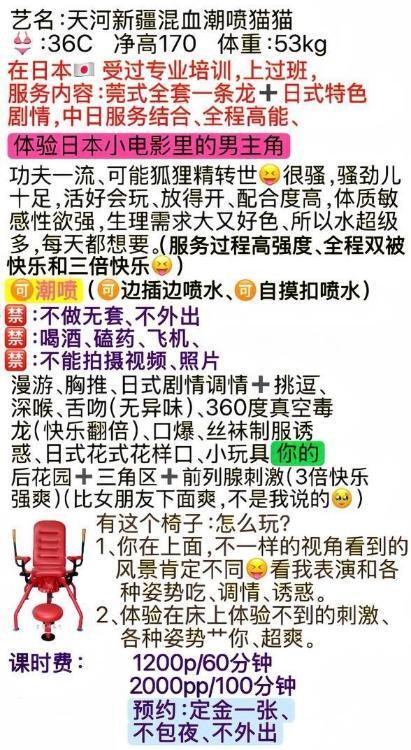 天河新疆混血潮喷猫猫