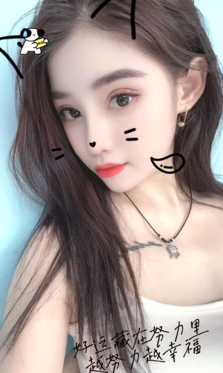 南开全套小家伙